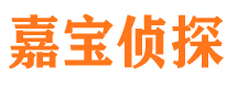 根河市私家侦探